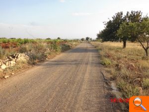 El Ayuntamiento de Cheste invierte 5600 euros en la reparación urgente de caminos afectados por las lluvias - (foto 3)